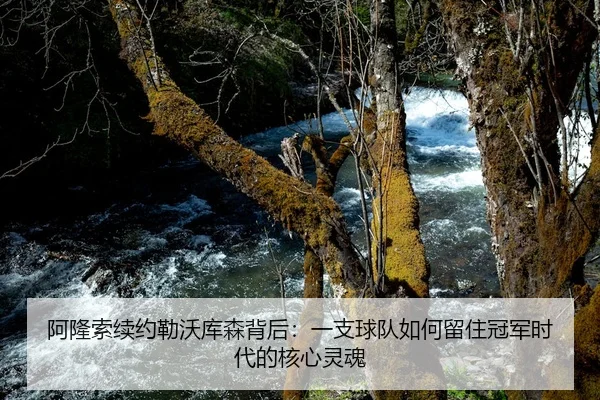 阿隆索续约勒沃库森背后：一支球队如何留住冠军时代的核心灵魂